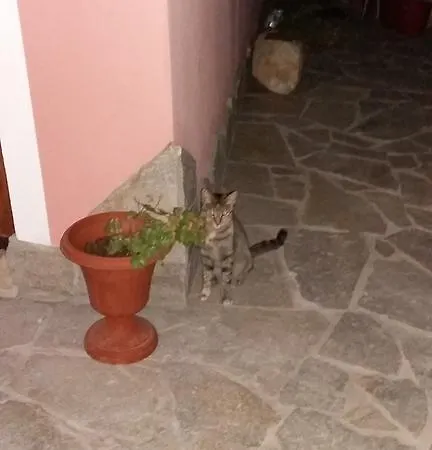 La Contea 住宿加早餐酒店 SantʼAnna Arresi