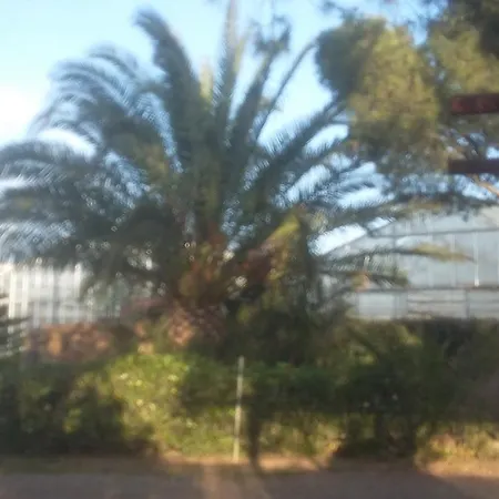 La Contea *