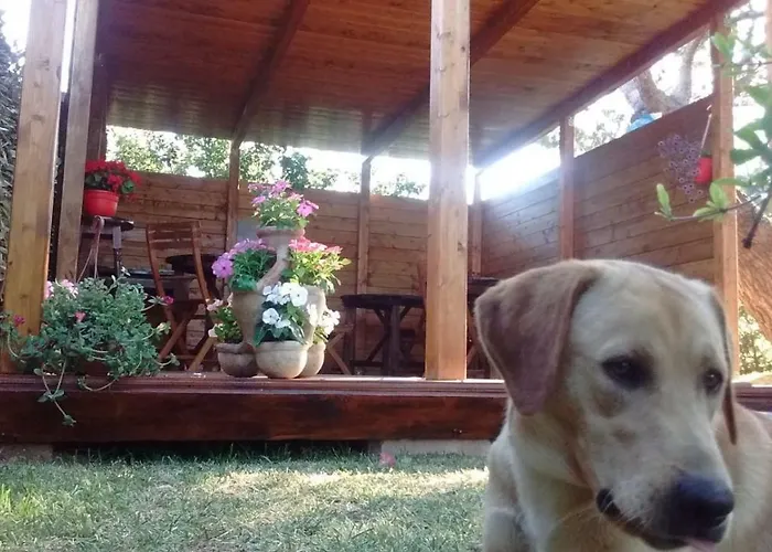 La Contea Bed & Breakfast