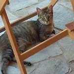 فندق مبيت وإفطار La Contea