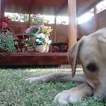 La Contea 3*