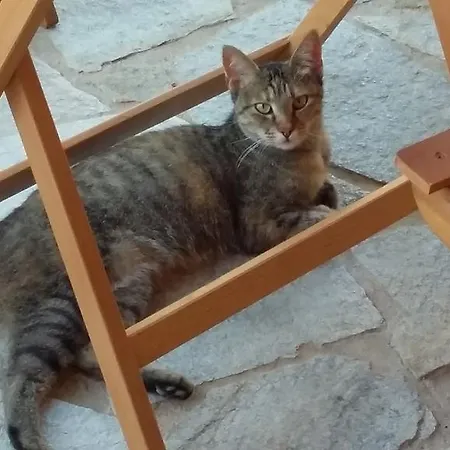 Bed and Breakfast La Contea