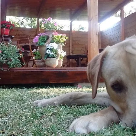 La Contea 3*