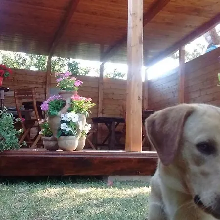 La Contea Bed and Breakfast